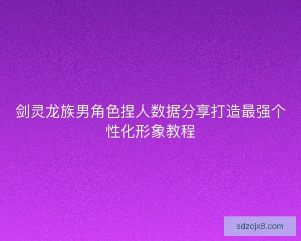 剑灵龙族男角色捏人数据分享打造最强个性化形象教程