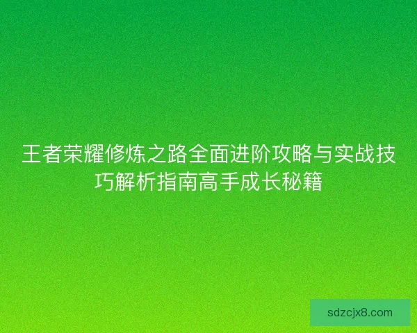 王者荣耀修炼之路全面进阶攻略与实战技巧解析指南高手成长秘籍