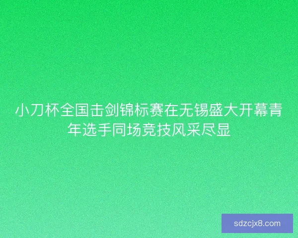 小刀杯全国击剑锦标赛在无锡盛大开幕青年选手同场竞技风采尽显 小刀杯全国击剑锦标赛在无锡盛大开幕青年选手同场竞技风采尽显