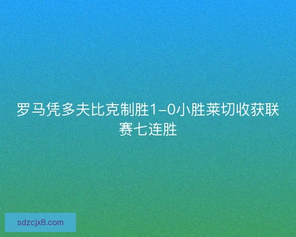 罗马凭多夫比克制胜1-0小胜莱切收获联赛七连胜