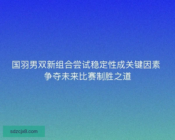 国羽男双新组合尝试稳定性成关键因素 争夺未来比赛制胜之道 国羽男双新组合尝试稳定性成关键因素 争夺未来比赛制胜之道